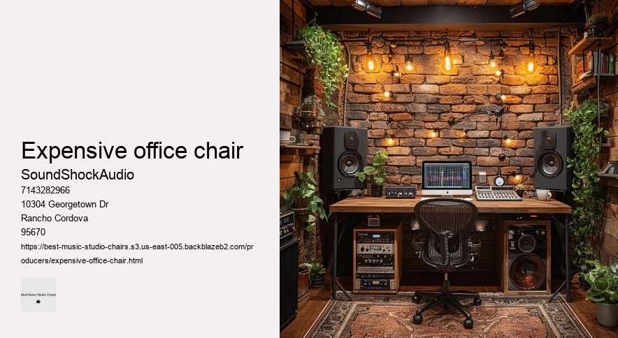 expensive office chair